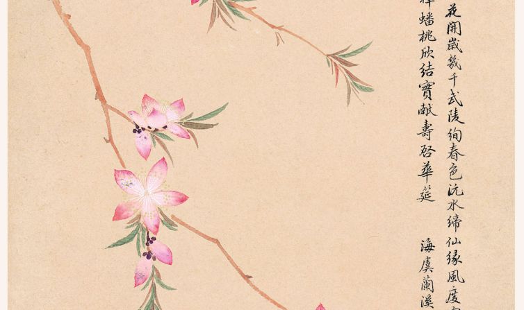 Toàn Bộ Tranh Hoa Huỷ Sách – Trâu Nhất Quế (Thanh triều)