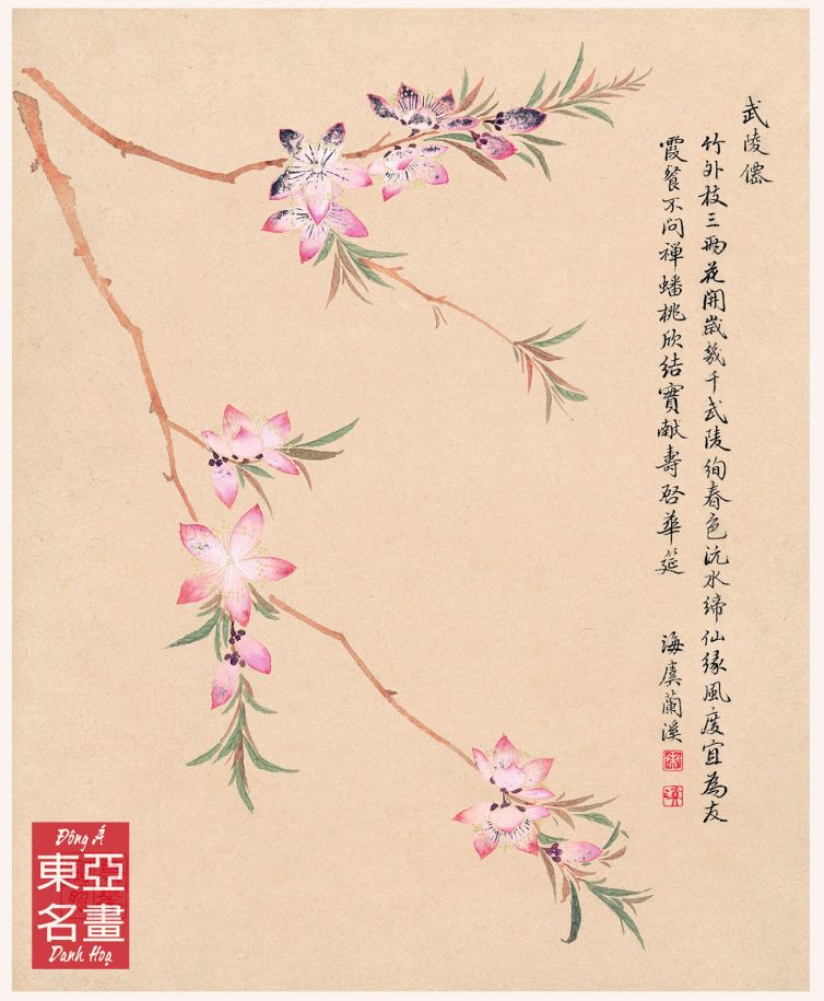 Hoa Mai Mơ (Hoa Hủy Sách) – Trâu Nhất Quế (Thanh triều)