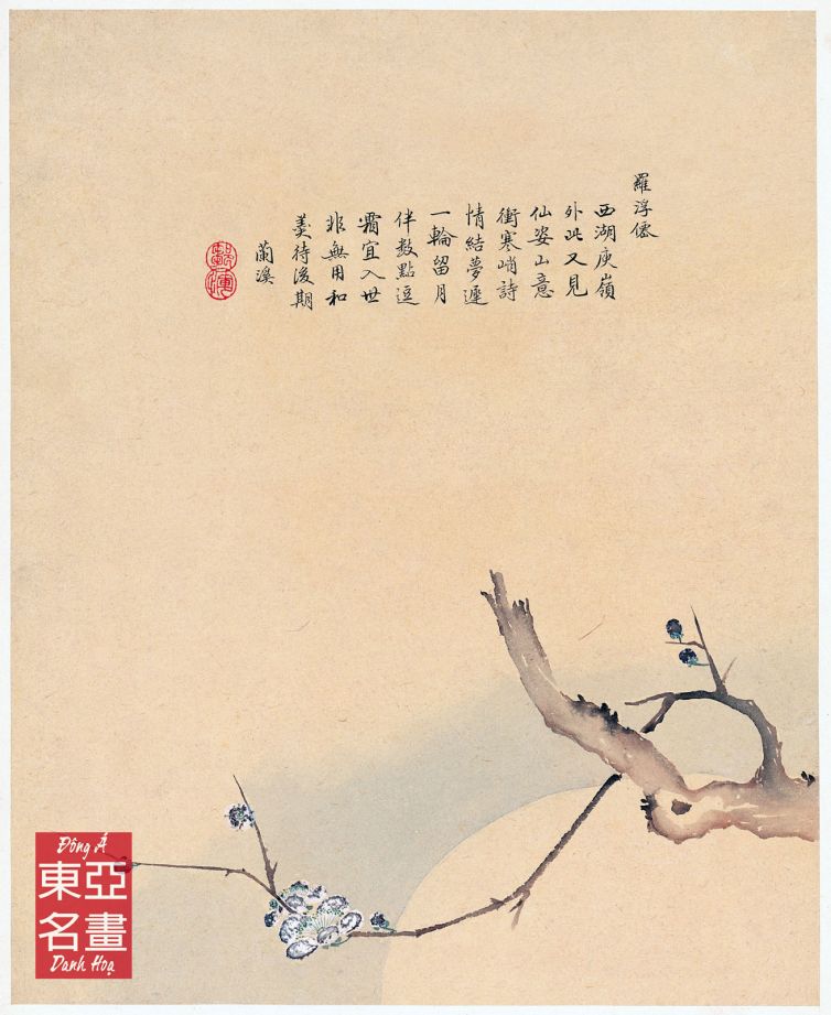 Hoa Mai Trắng (Hoa Hủy Sách) – Trâu Nhất Quế (Thanh triều)
