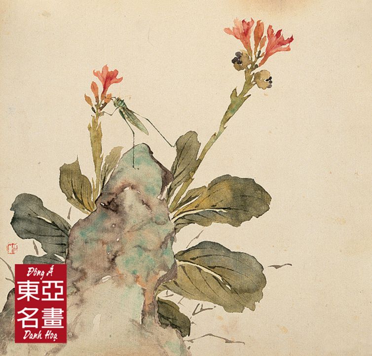 Cây Chuối Hoa (Hoa Hủy Trùng Tảo) – Cư Liêm (Thanh triều)