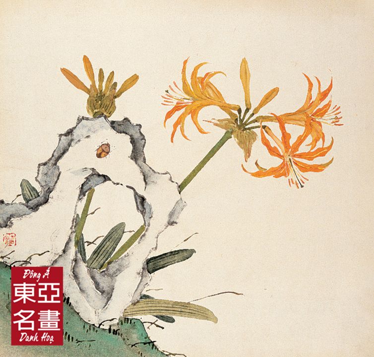 Hoa Lily Cam (Hoa Hủy Trùng Tảo) – Cư Liêm (Thanh triều)